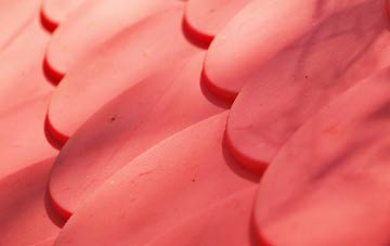 Sorisdale plastic roof costs